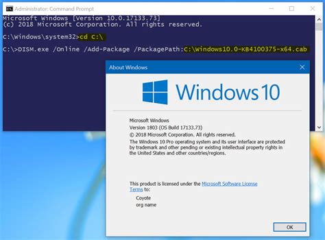 Windows 10 v1803 activator
